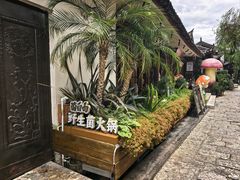 -菌自由丨野生菌火锅特色庭院餐厅(丽江古城店)