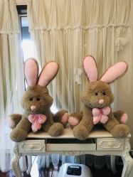 -美肤盾祛痘·问题肌头疗管理中心