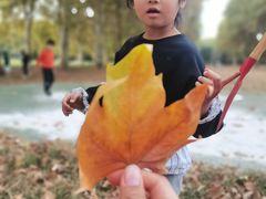 -河南省黄河迎宾馆