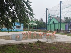 -秦皇岛野生动物园