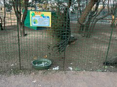 -渔码头食府(蓬莱阁店)