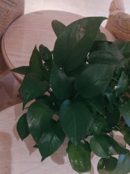 -北京俪婴妇产医院(朝阳大悦城店)