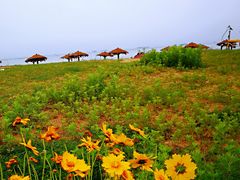 -青岛银沙滩
