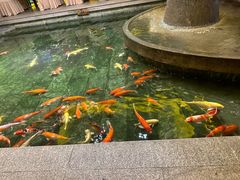 -惠食佳(滨江大公馆店)