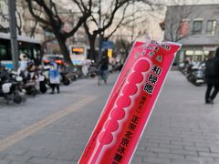 -和禄德冰糖葫芦