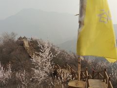 -大岭沟猕猴桃谷风景区