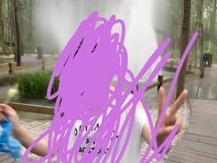 -合肥滨湖国家森林公园