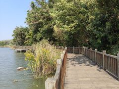 -焦山景区-万佛塔