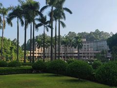 -枫丹盛宴(枫丹白鹭酒店)