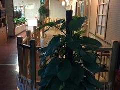 -水森林·按摩SPA·美食韩式汗蒸水会(国贸E口店)