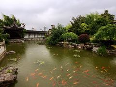 -梅园