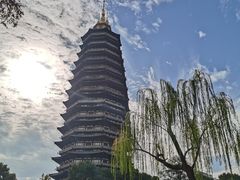 -红梅公园