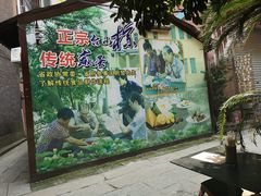 -小洲村