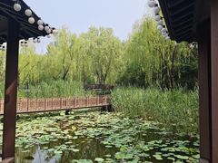 -潇湘甲鱼村(清河店)