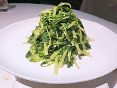 -苏浙总会(国金中心店)