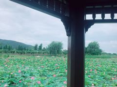 -羊亭河湿地公园