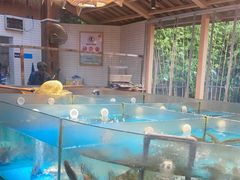 -耕渔小院·湖南鱼鲜(望城店)