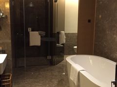 -河源万绿湖美思威尔顿酒店