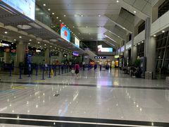 -威海大水泊国际机场