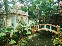 -大塘金香草谷