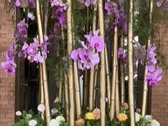 -浅深Cheersum(曹杨店)