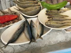 -渔中舟海鲜大排档(普陀沈家门店)