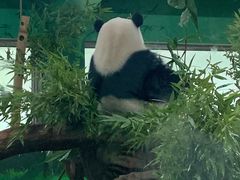 -广州动物园