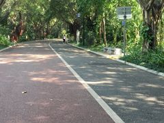 -南宁南湖公园