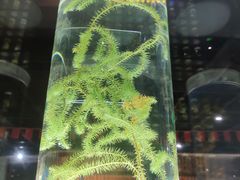 -广东中医药博物馆