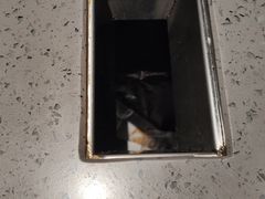 -一棠龙虾•王牌虾球(楚河汉街店)