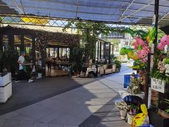 -京北渔家傲