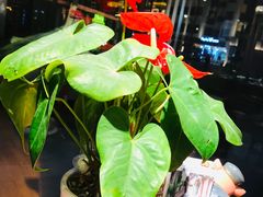 -印象江南(东栅店)