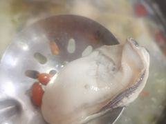 -花苑美食横琴生蚝火锅(拱北粤华路店)