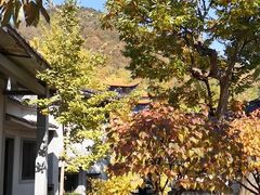 -遵化市禅林寺古银杏风景园