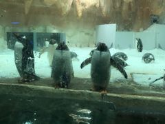 -威海华夏城景区