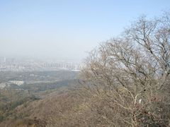 -紫金山山顶公园