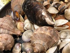 -高佳庄·舟山海鲜(海景旗舰店)