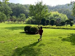 -棒棰岛宾馆景区