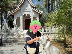 -西双版纳傣族园