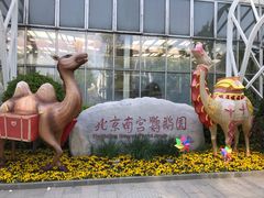 -南宫五洲植物乐园