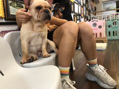 -柯斗斗主题餐厅·狗咖·围炉煮茶·茶饮(国瑞升平里店)