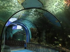 -大明湖海底世界