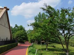 -西安汉城湖景区