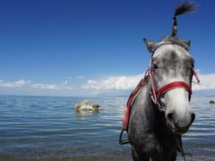 -青海湖国家重点风景名胜区