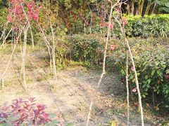 -眉山湿地公园(东坡区)