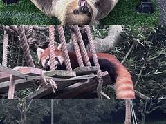 -宁波野生动物园