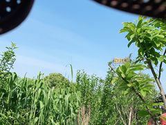 -金稼园·金平湖农家菜