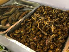 -夏家大锅台炖鱼馆
