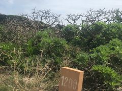 -龙坑生态保护区