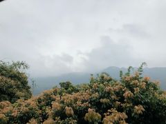 -广州市石门国家森林公园